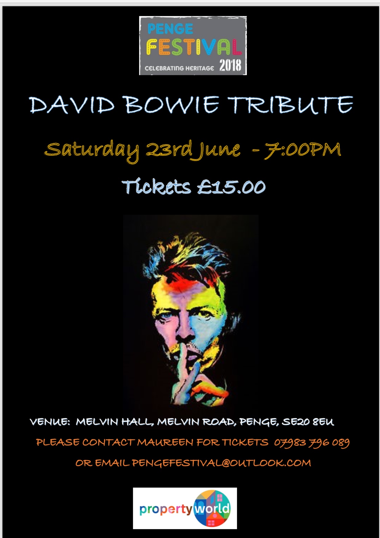 David Bowie Tribute - Penge Festival 2018